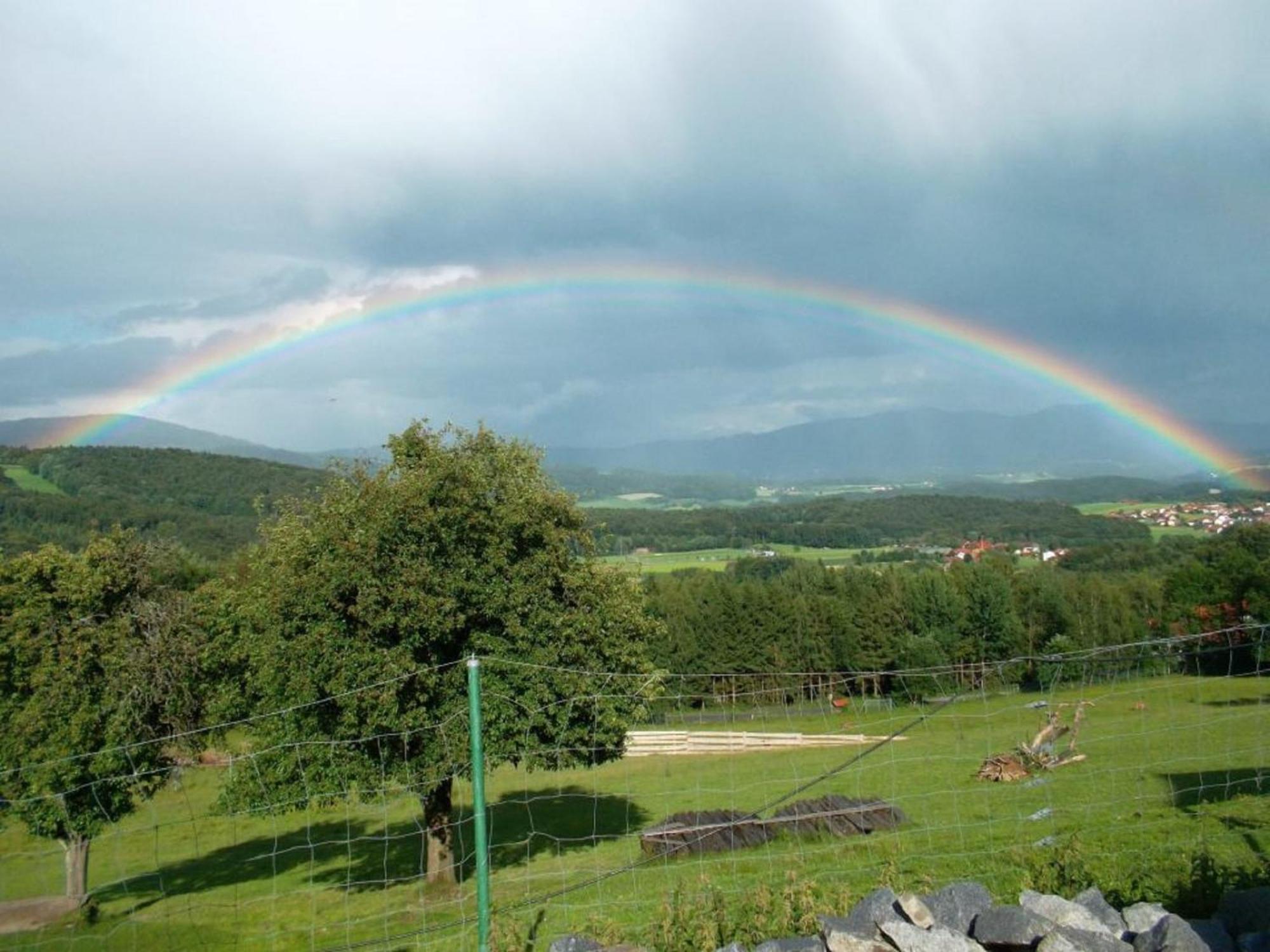 Landhaus Lehnerhof Schaufling Esterno foto