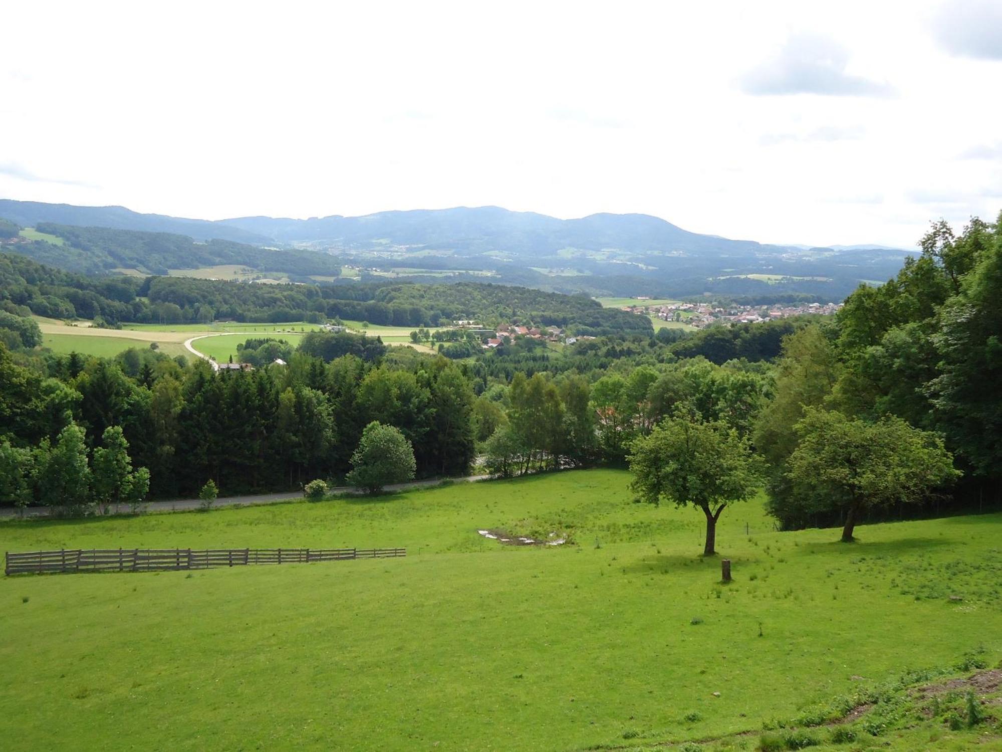 Landhaus Lehnerhof Schaufling Esterno foto